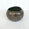 Coconut Mug - Chrome